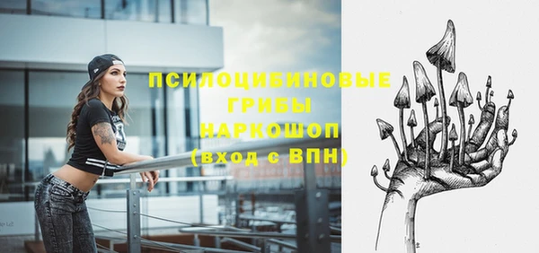 стаф Балахна