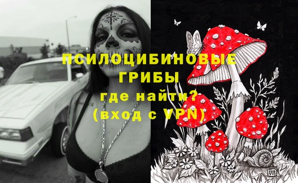 стаф Балахна