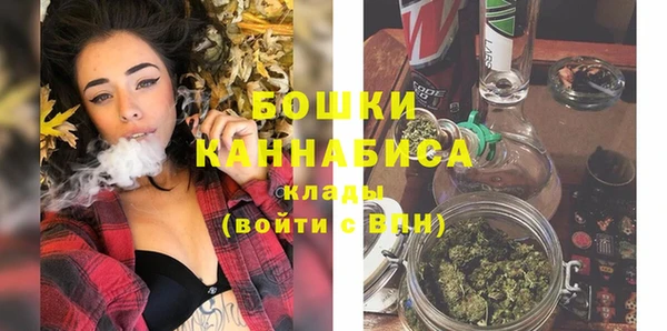 стаф Балахна