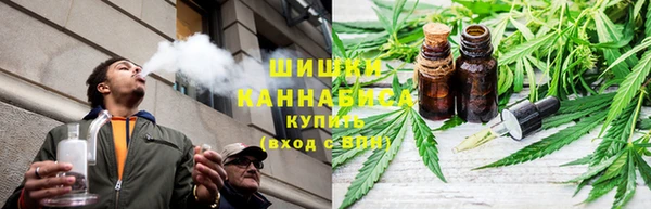 прущие грибы Балабаново