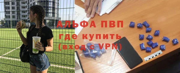 стаф Балахна