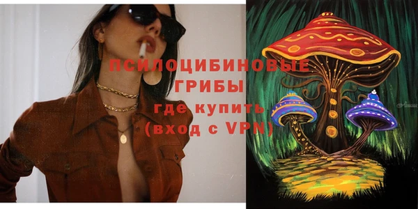 стаф Балахна