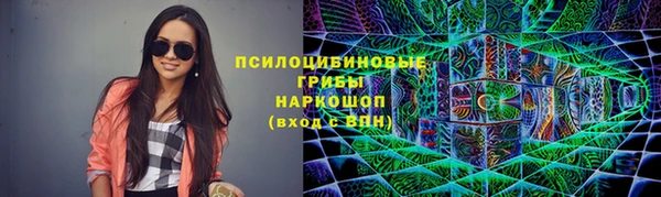 прущие грибы Балабаново