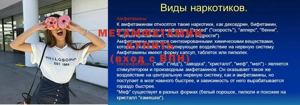 прущие грибы Балабаново