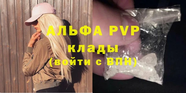 прущие грибы Балабаново